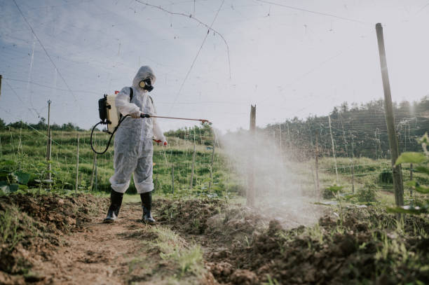 Best Pest Removal Services  in Boyertown, PA