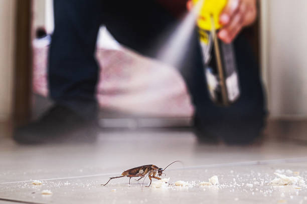Best Wildlife Control Services  in Boyertown, PA