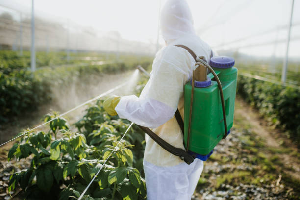 Reliable Boyertown, PA Pest Control Solutions